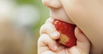 Bambino che mangia una fragola nel processo di autosvezzamento