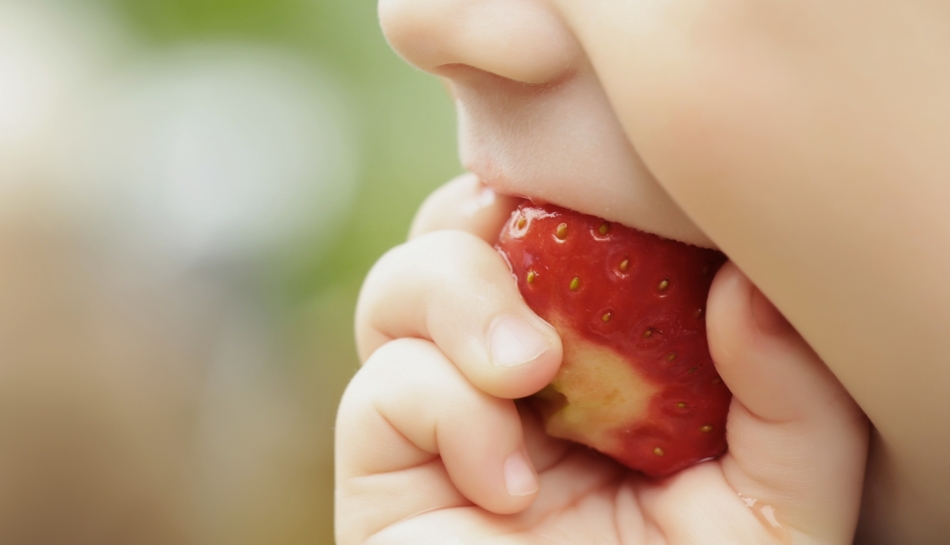 Bambino che mangia una fragola nel processo di autosvezzamento