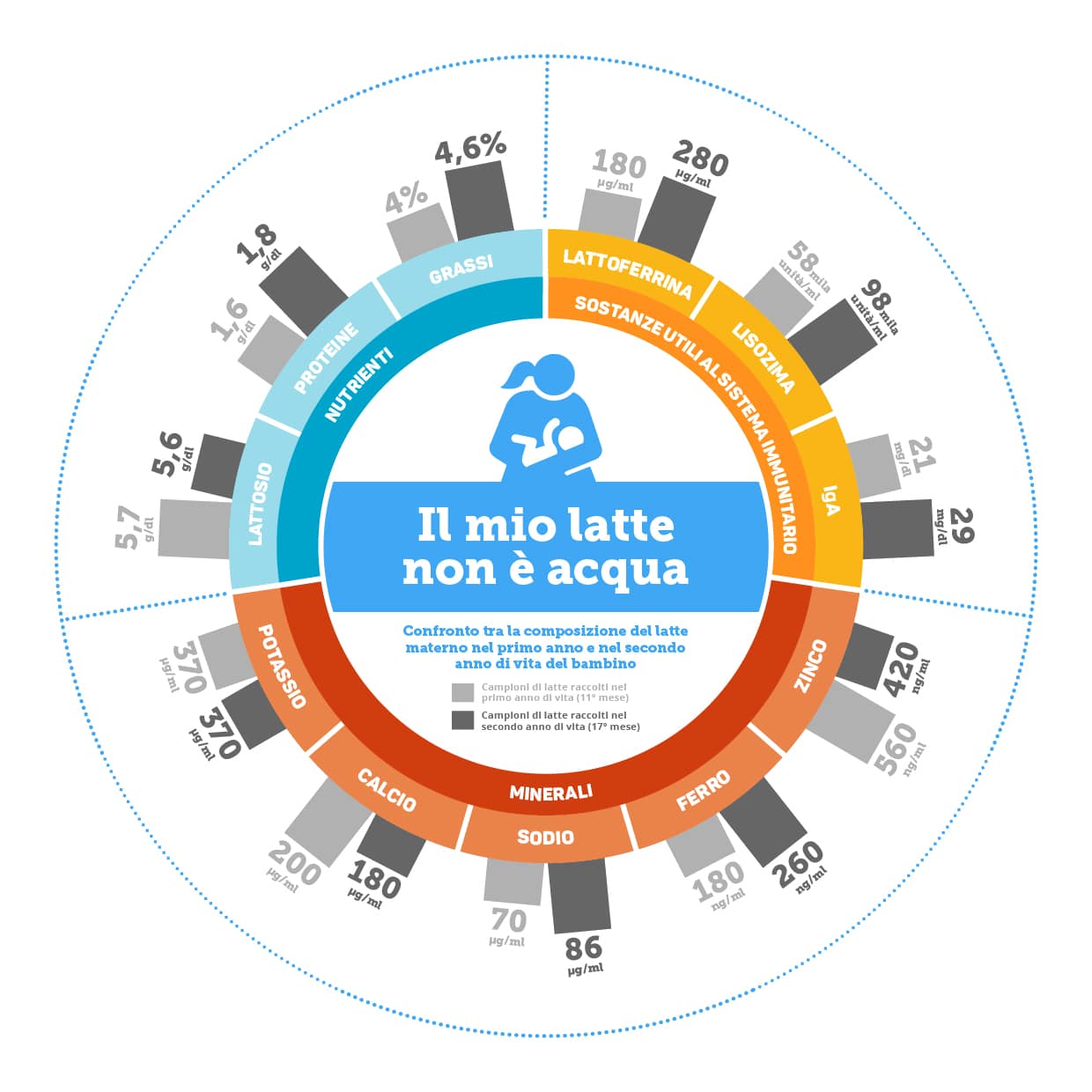 Valori nutrizionali del latte materno nel primo e nel secondo anno di vita del bambino