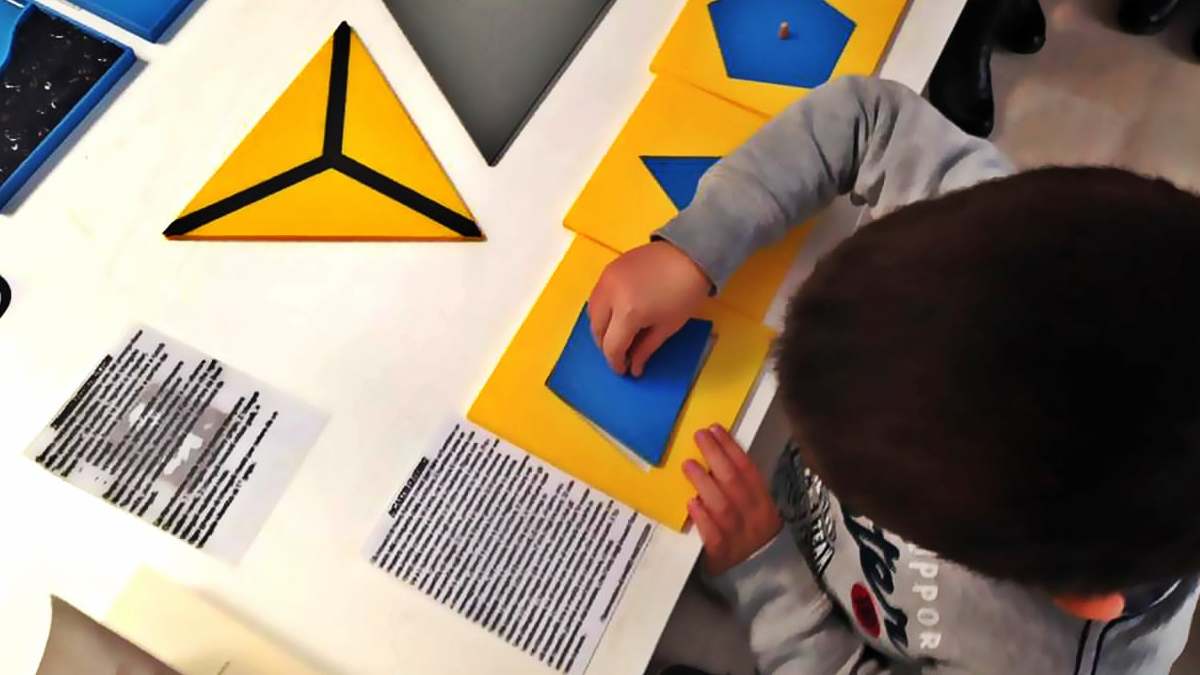 Dimostratore ePop-Zeb - Spazio Attivo