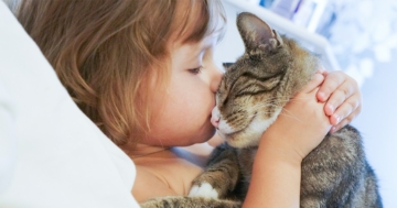 Bambina che stringe a sé il suo gatto, animale domestico