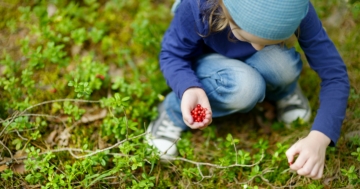 Bambina raccoglie frutti rossi nel bosco
