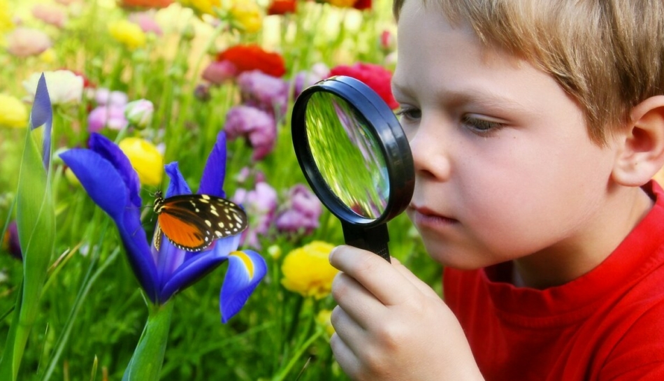 Bambino osserva un fiore