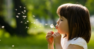 Little girl blowing on a dandelion