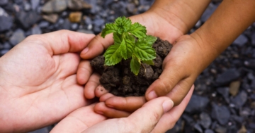 Mani di adulto e bambino a conca che tengono una piantina con della terra