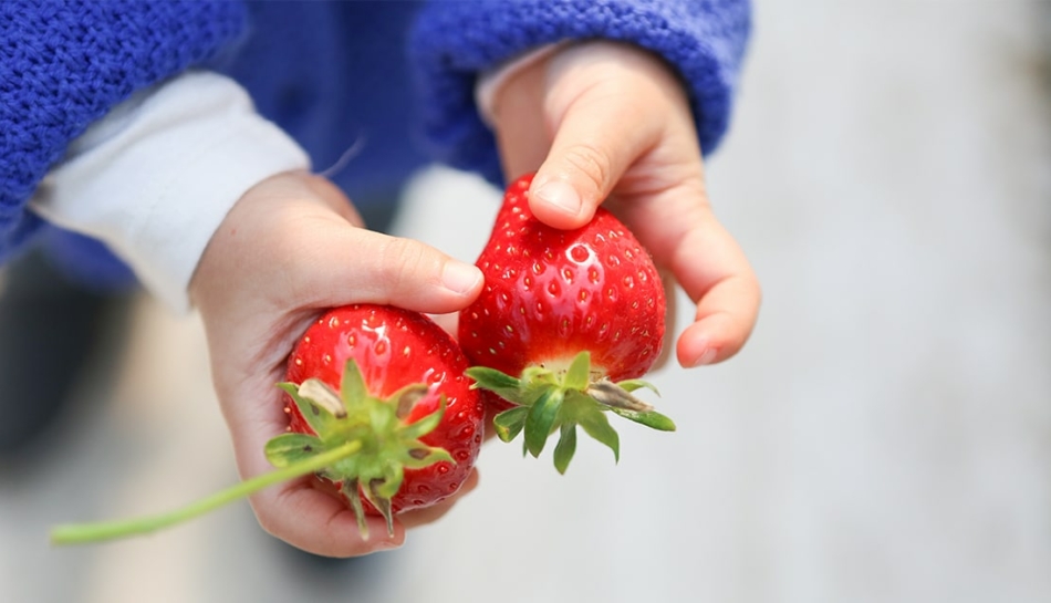 Mani di bambino che tengono due fragole