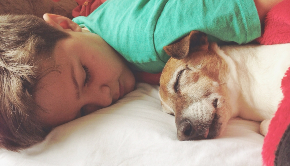 Bambino che dorme sdraiato accanto al suo cane