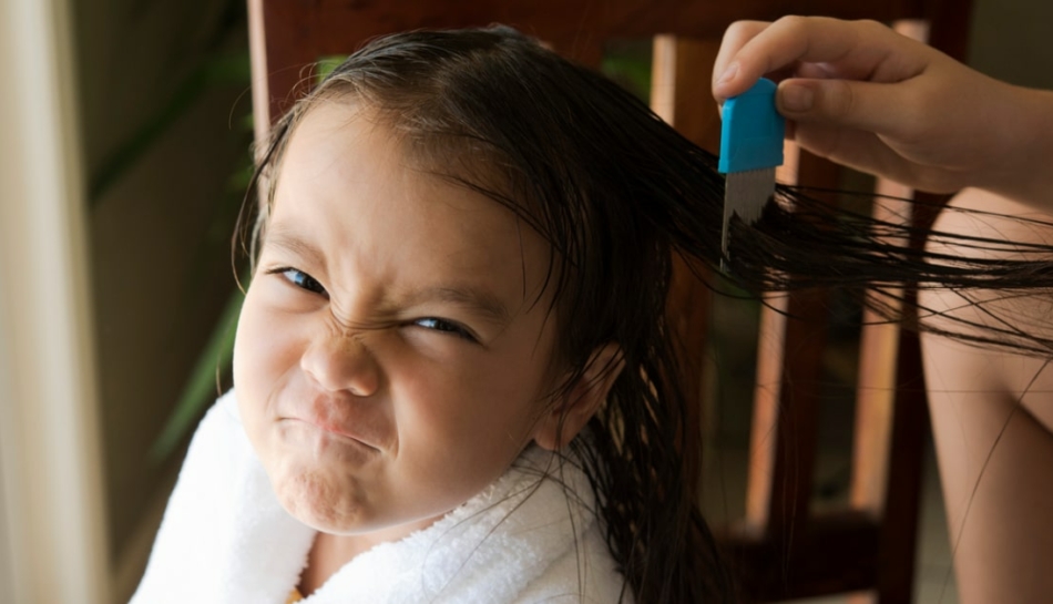 Bambina colpita da pidocchi con pettine a denti fitti