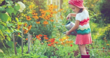 Little girl watering plants independently