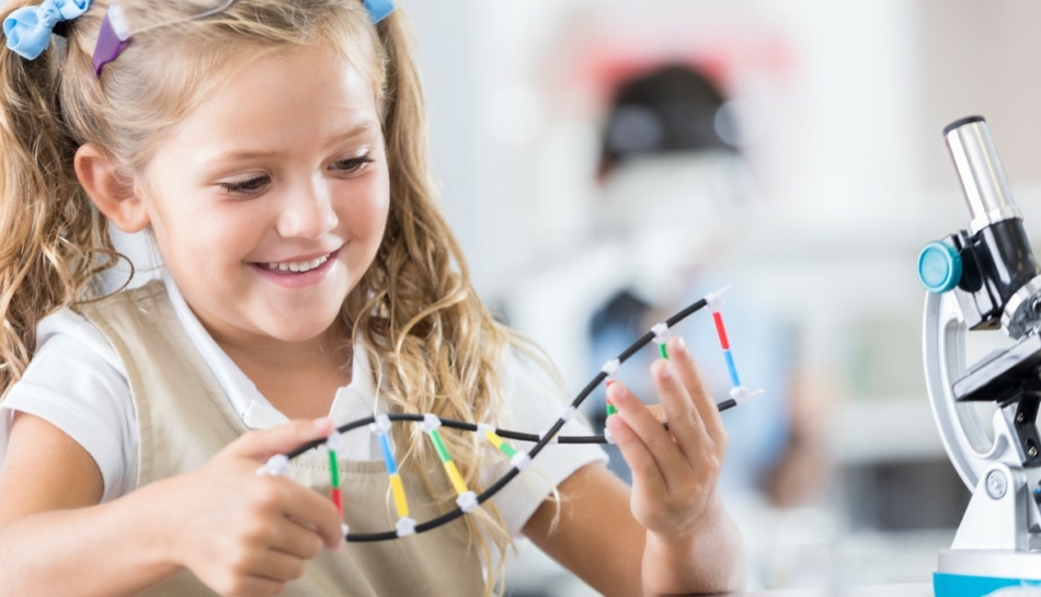 Bambina studia il modello a doppia elica del DNA
