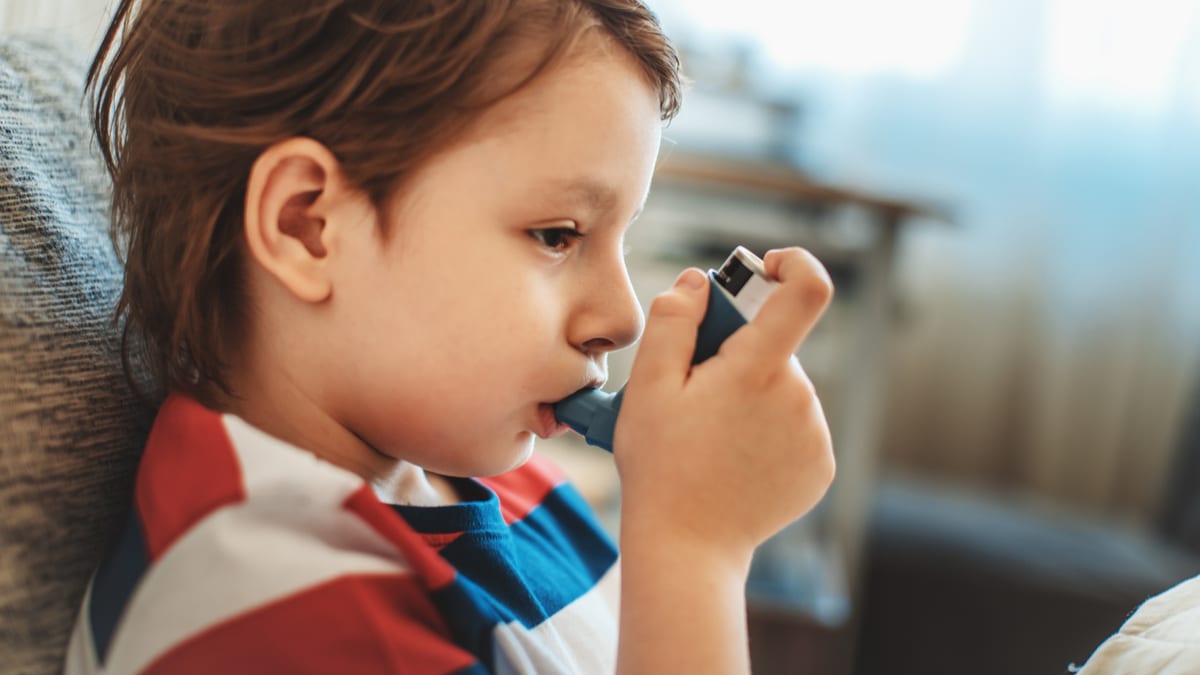Il ruolo dell&#39;ambiente per asma e allergie - Uppa.it