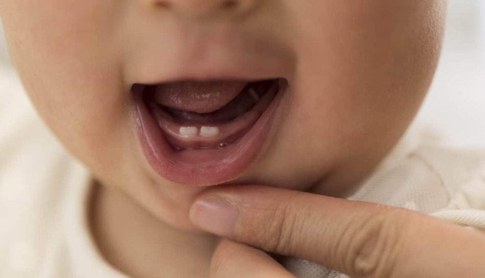 mamma mostra primi denti del suo bambino