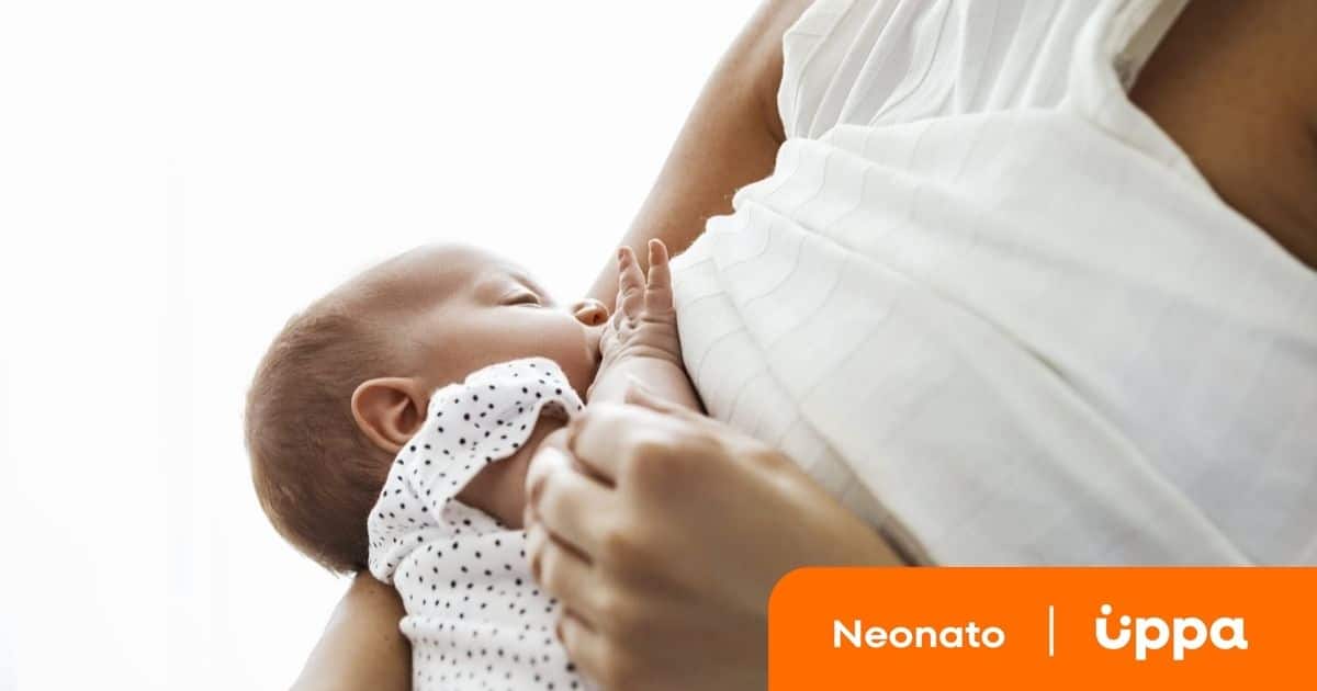 Quanto Deve Mangiare Un Neonato Uppa