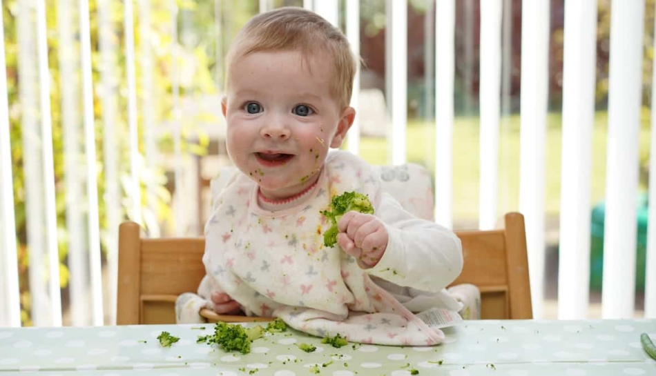 bambino mangia broccoli in svezzamento vegano