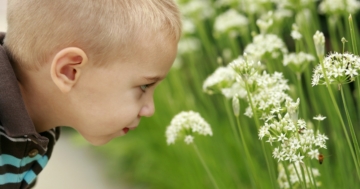 bambino guarda insetti protetto dalle punture