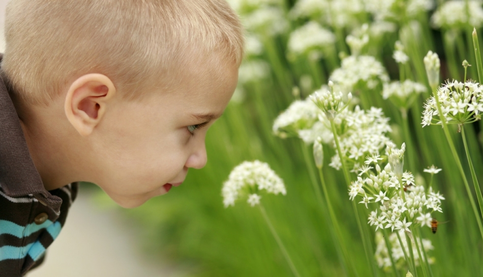 bambino guarda insetti protetto dalle punture