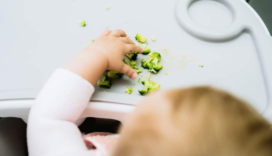 bambino mangia broccoli in svezzamento vegetariano