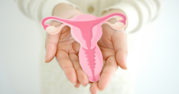 mani di donna mostrano riproduzione dell'utero