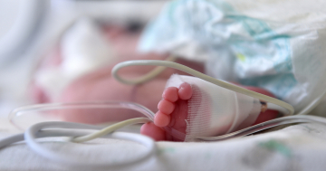 Neonato