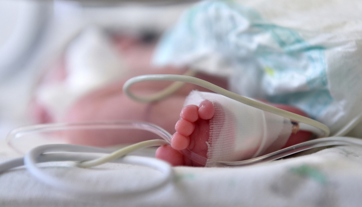 Neonato