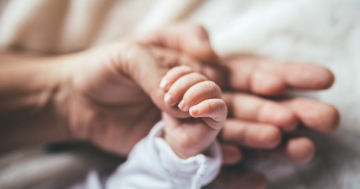 Mani dei genitori e del neonato