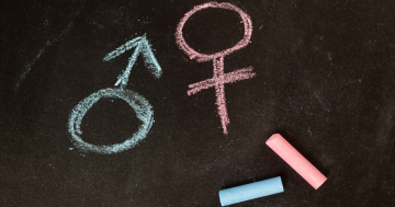 Simboli maschile e femminile sulla lavagna
